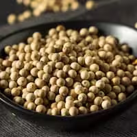 A small spoon of ground white pepper beside a bowl of soup